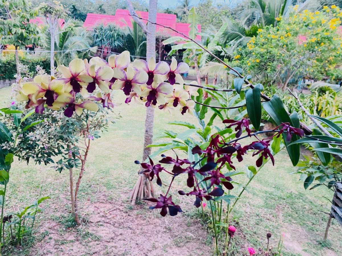 Nadia Resort Kohjum Koh Jum Ngoại thất bức ảnh