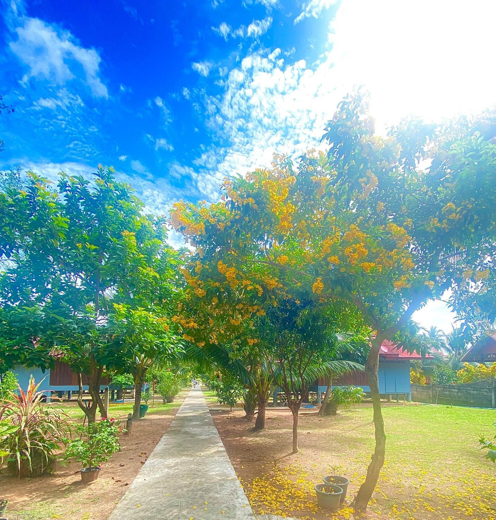 Nadia Resort Kohjum Koh Jum Ngoại thất bức ảnh